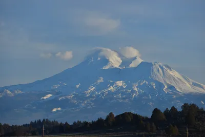 DSC_6011 (Large).JPG